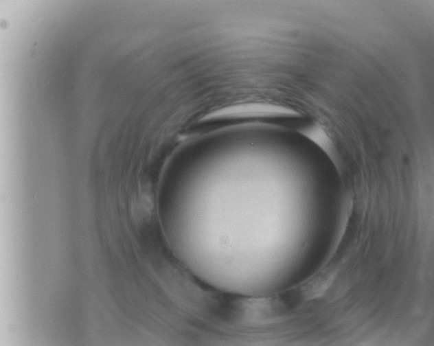 X0000073760085200608102056