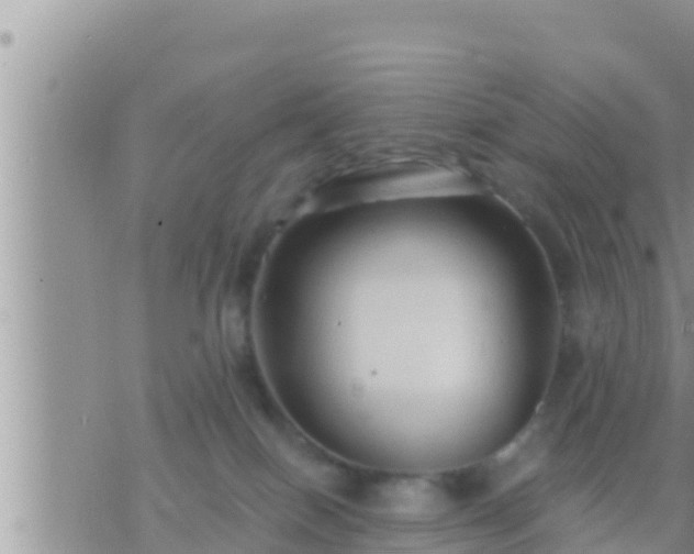 X0000073760086200608102056