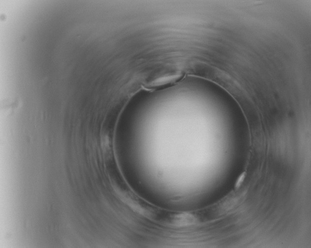 X0000073760087200608102056