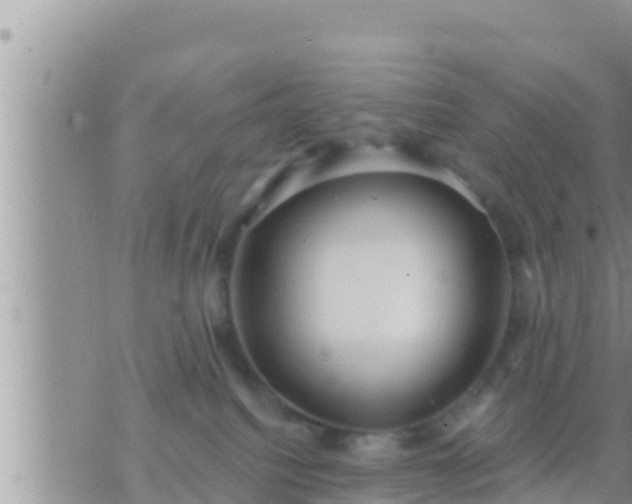 X0000073760088200608102056