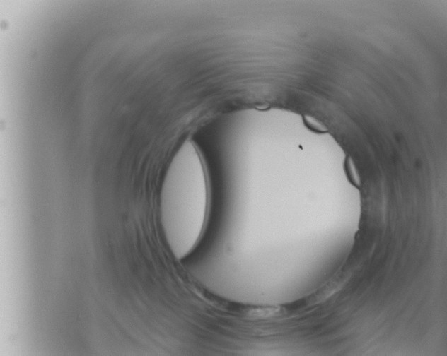 X0000073760089200608102056