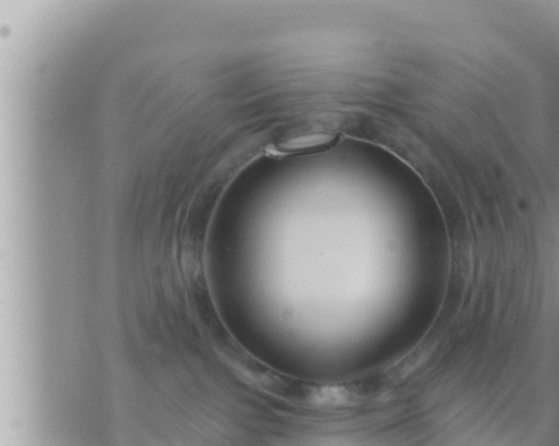 X0000073760091200608102056