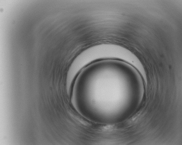 X0000073760092200608102056