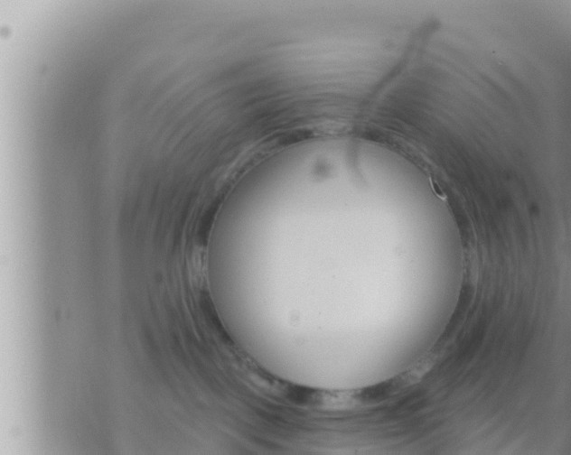 X0000073760093200608102056