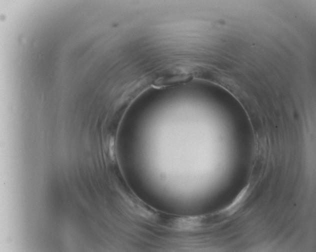 X0000073760094200608102056