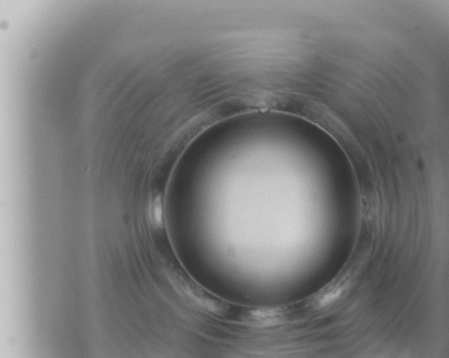 X0000073760095200608102056