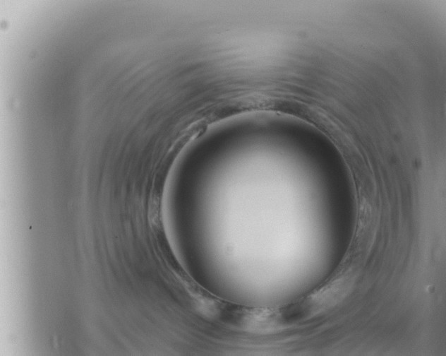 X0000073760096200608102056