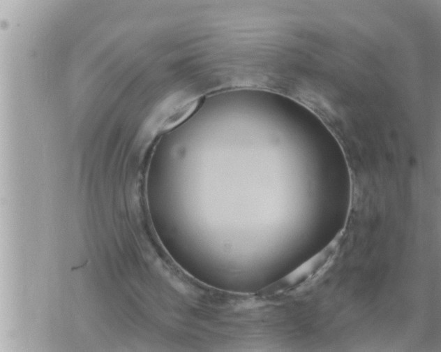 X0000073760098200608102056