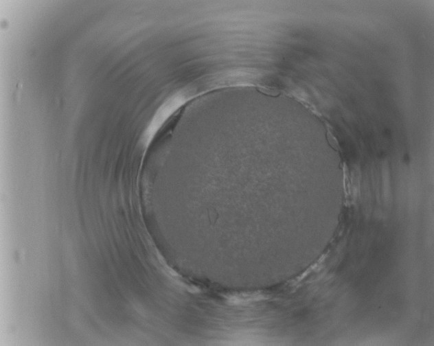 X0000073760099200608102056