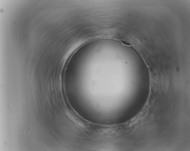 X0000073760100200608102055