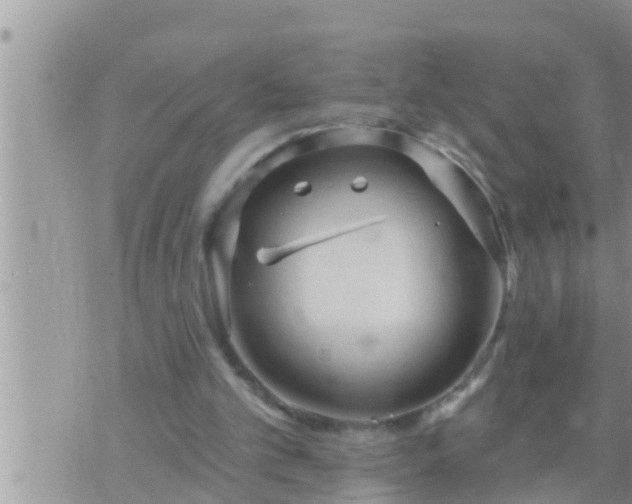 X0000073760101200608102055