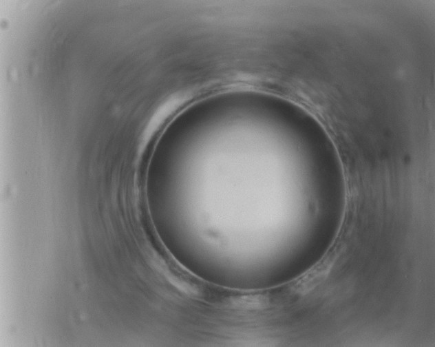 X0000073760102200608102055