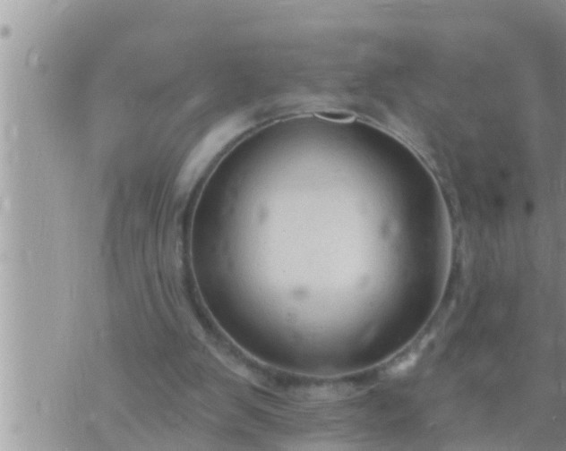 X0000073760103200608102055