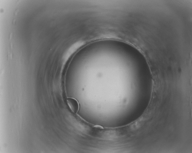 X0000073760104200608102055