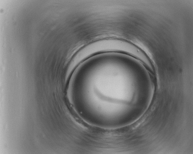 X0000073760105200608102055