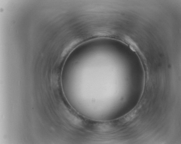 X0000073760106200608102055