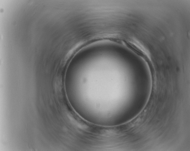 X0000073760107200608102055