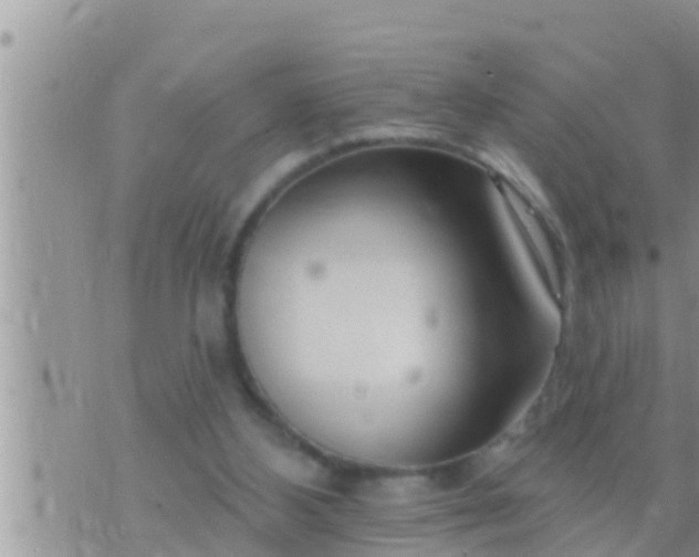 X0000073760108200608102055