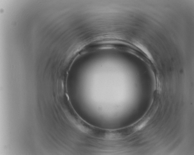 X0000073760109200608102055