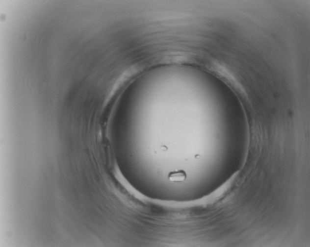 X0000073760110200608102055