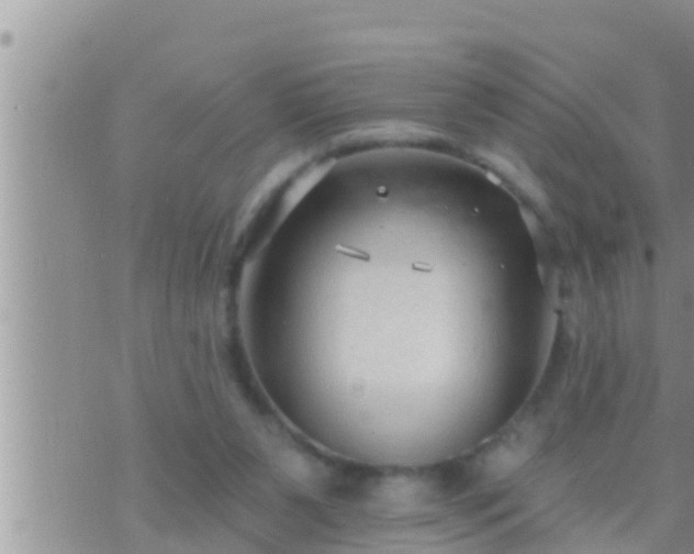 X0000073760111200608102055