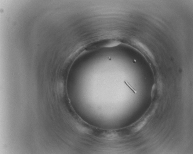 X0000073760113200608102055