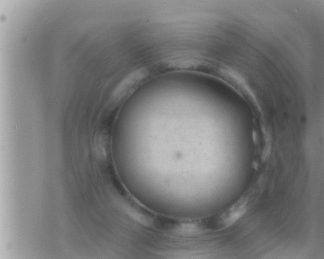 X0000073760114200608102055