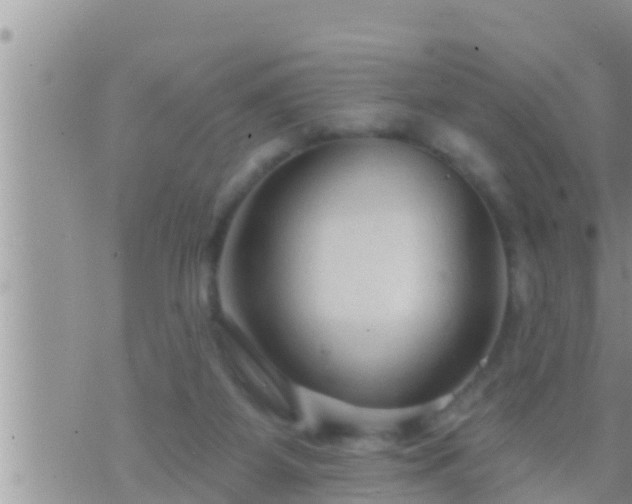 X0000073760115200608102055