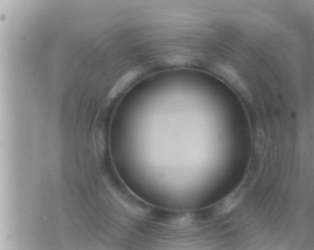 X0000073760116200608102055