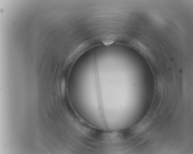 X0000073760118200608102055