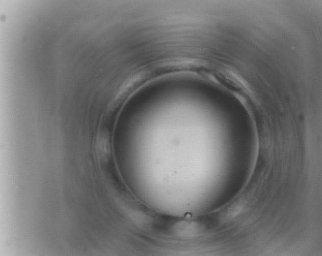 X0000073760119200608102055