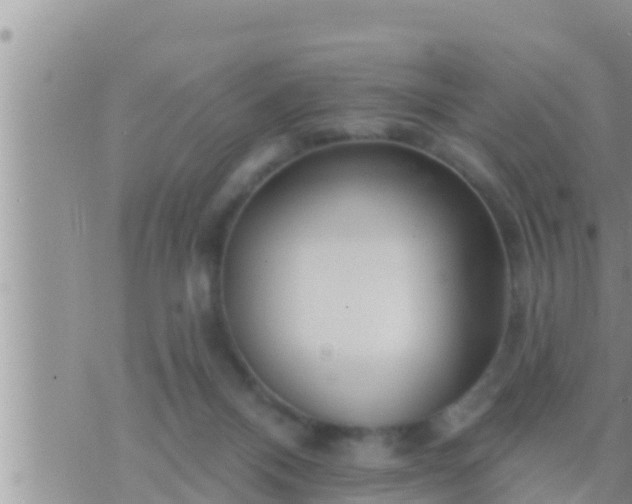 X0000073760120200608102055