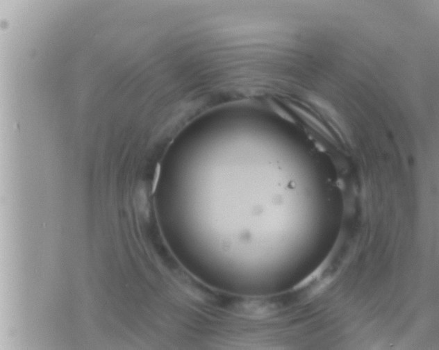 X0000073760121200608102055