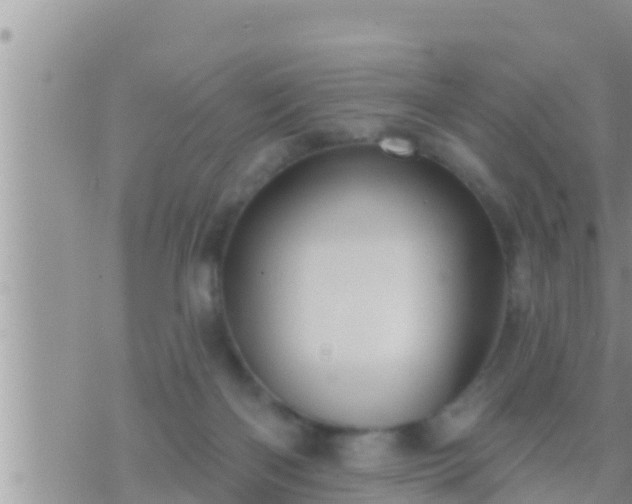 X0000073760122200608102055