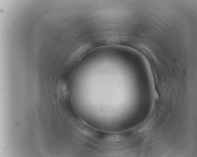 X0000073760123200608102055