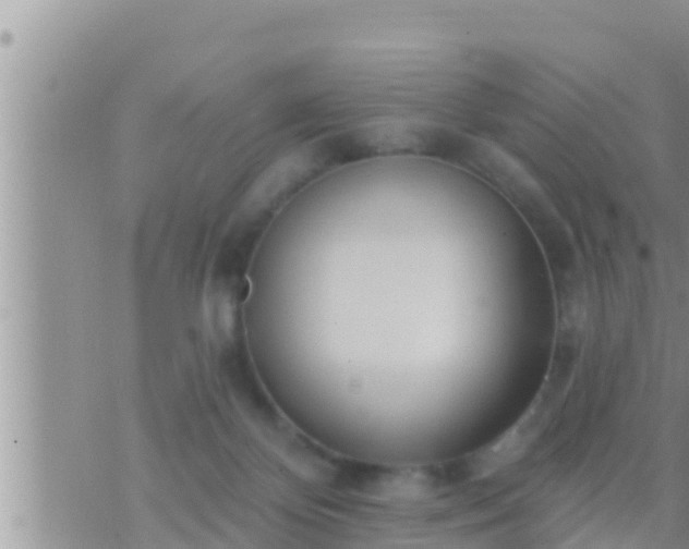 X0000073760124200608102055