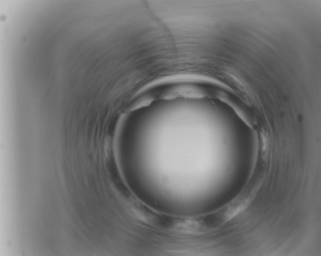 X0000073760125200608102055