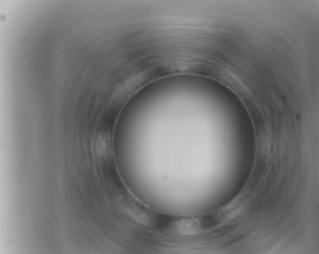 X0000073760126200608102055