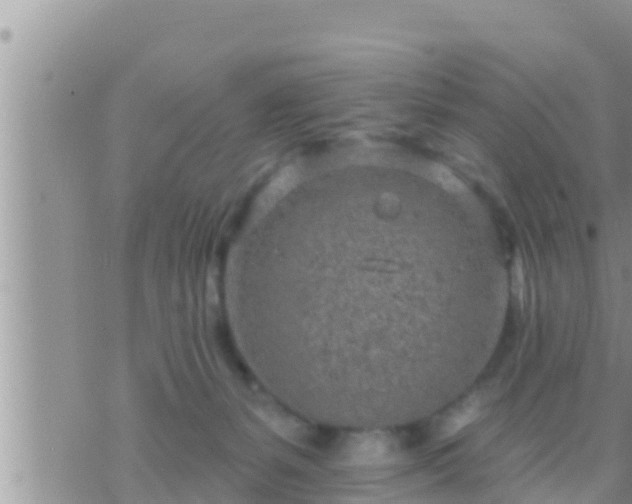 X0000073760127200608102055