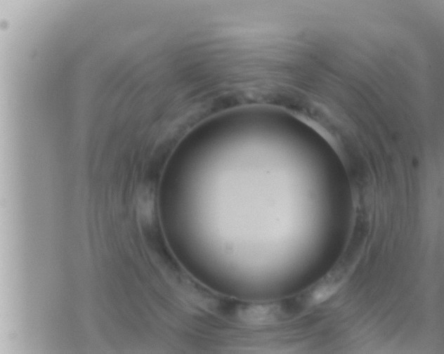 X0000073760129200608102055