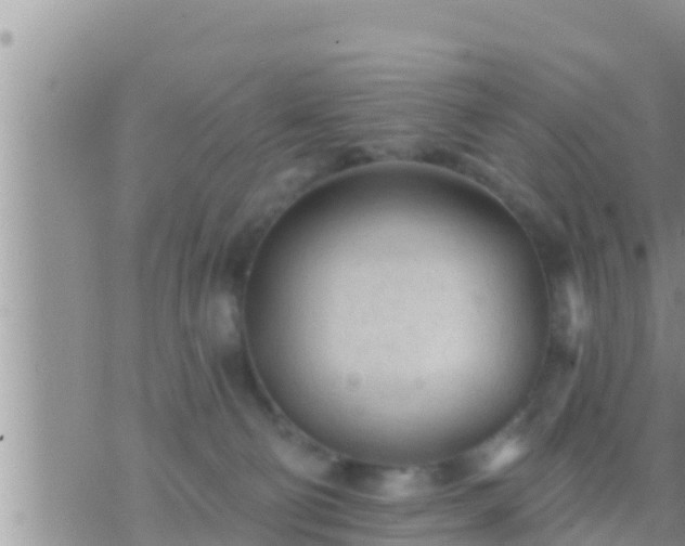 X0000073760130200608102055