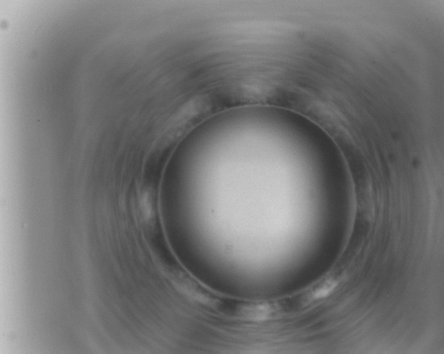 X0000073760131200608102055