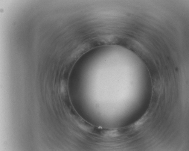 X0000073760132200608102055