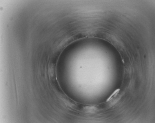 X0000073760133200608102055