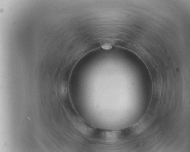 X0000073760134200608102055