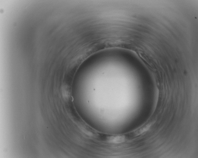 X0000073760135200608102055