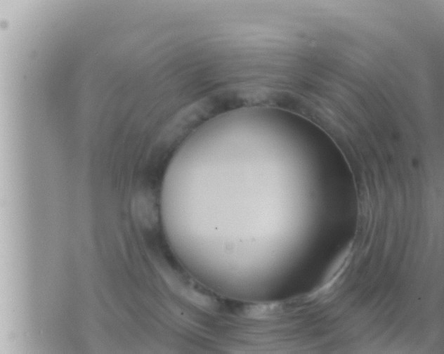 X0000073760136200608102055