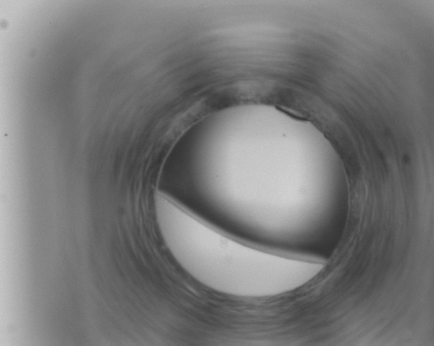 X0000073760137200608102055