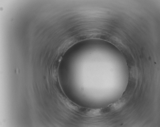 X0000073760138200608102055