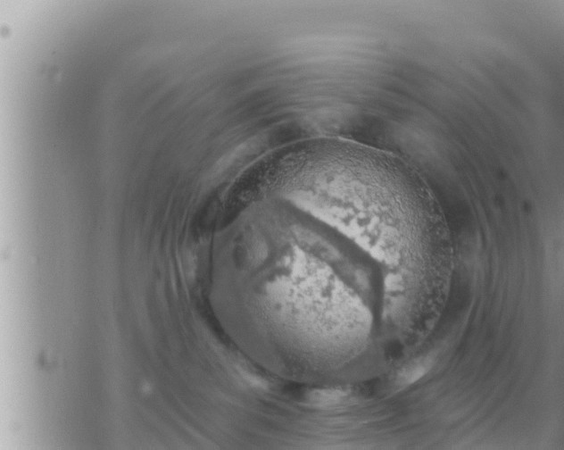 X0000073760139200608102055